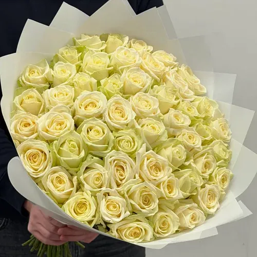 Белая роза 51 шт