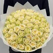 Белая роза 51 шт