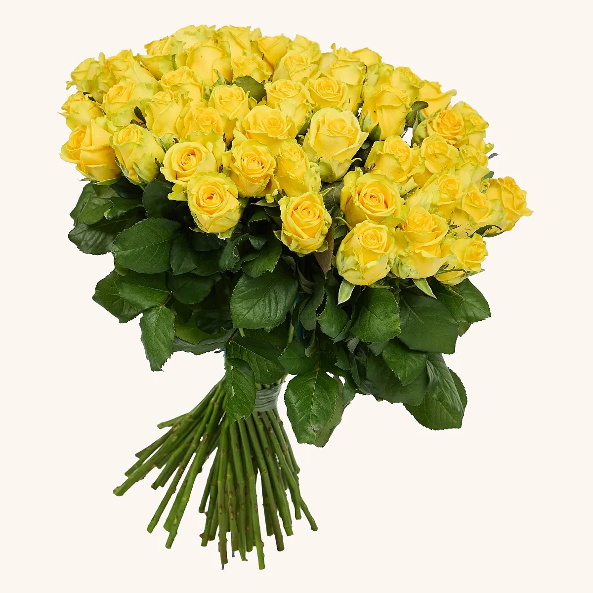 Жёлтая роза 51 шт