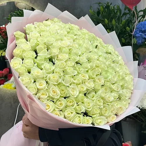 Белая роза 151 шт