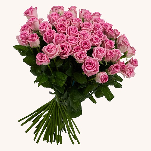 Розовая роза 51 шт