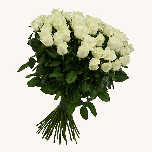 Белая роза 51 шт