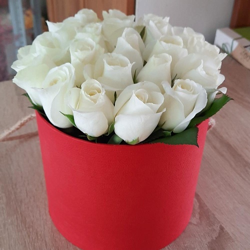 Белая роза 15 шт